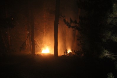 Kütahya'daki Orman Yangını Kontrol Altına Alındı