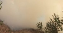 KAFKAS ÜNİVERSİTESİ - Sarıkamış'ta Orman Yangını Söndürüldü