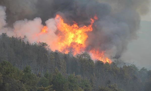 Kütahya'daki orman yangını Bilecik sınırına dayandı!