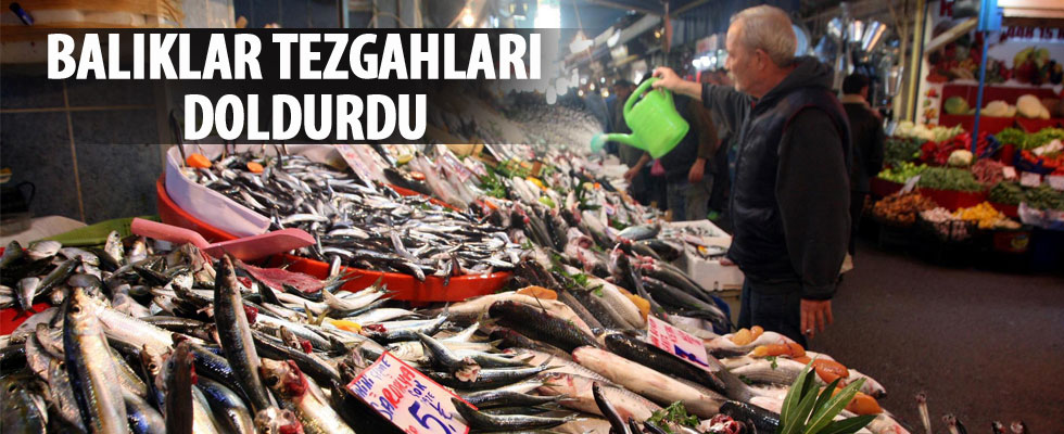 Balıklar tezgahları doldurdu