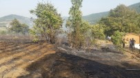 DILRUBA - Bursa'da 3 Hektarlık Ormanlık Alan Yandı