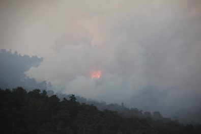 Domaniç'te Çıkan Orman Yangını Bilecik Sınırına Ulaştı