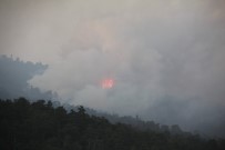 Domaniç'te Çıkan Orman Yangını Bilecik Sınırına Ulaştı