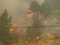 SAMANLıK - Emet'teki Orman Yangını Devam Ediyor