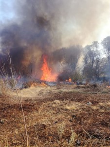 Malatya'da Orman Yangını Korkuttu