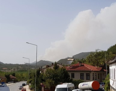 Sakarya'da Başlayan Orman Yangını Hızla Büyüyor