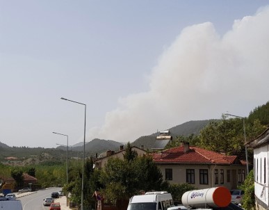 Sakarya'daki Orman Yangını Büyüyor
