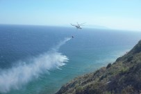 ORMAN GENEL MÜDÜRLÜĞÜ - Tekirdağ'ın Ciğerleri Yandı