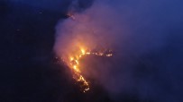 Yangın 100 Hektara Yakın Alanda Etkili Oldu