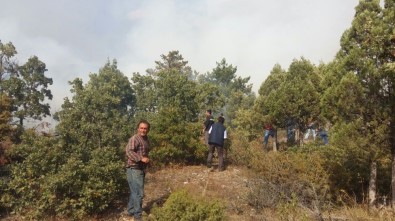 Domaniç'teki Orman Yangını Kontrol Altına Alındı