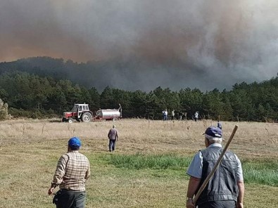 Emet'teki Orman Yangını Kontrol Altına Alınamıyor