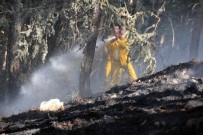 SEDAT OKTAR - Kütahya'daki Orman Yangınlarında Söndürme Ve Soğutma Çalışmaları Sürüyor