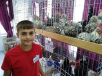 Lapseki'de 5. Geleneksel Kanatlı Hayvan Mezadı Yapıldı