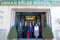 ORMAN YANGıNLARı - Vali Çakacak, Orman Bölge Müdürü Temel'den Bilgi Aldı