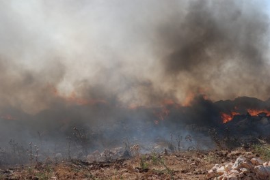 Aydın'da Çöplük Yangınları Korkutmaya Başladı