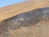 ORMAN YANGıNLARı - Çıldır'da Mera Yangını