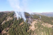 Gümüşhane'deki Orman Yangını