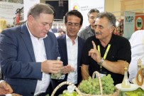 TARIM BAKANLIĞI - Rusya Tarım Bakan Yardımcısından 'Domates' Açıklaması