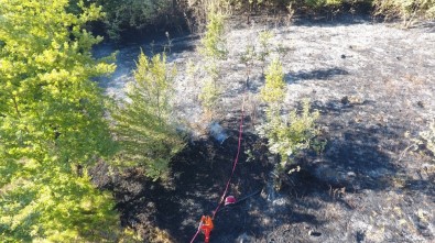 Sinop'ta Fındık Bahçesi Yangını