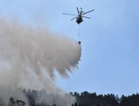Bilecik'teki orman yangını kontrol altına alındı