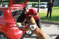 Bursa'da Sokak Sokak Uyuşturucu Operasyonu