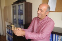 BALABAN - Cizre'de Balaban Kuşu Bulundu