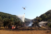 ÇANAKKALE BOĞAZı - Gelibolu Yarımadasındaki Yangın Kısmen Kontrol Altında