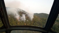 KARACAHISAR - Muğla Milas'ta Orman Yangını