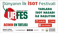 AŞıK SEFAI - Şanlıurfa'da İsot Festivali Başlıyor