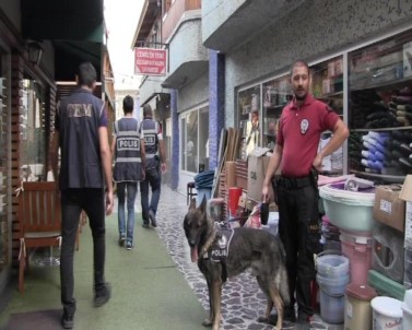 Artvin'de Narkotik Köpekler Eşliğinde Sokak Uygulaması