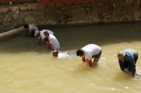 BALIK TUTMA - Bu Da Elle Balık Tutma Yarışması