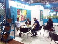 Rusya'ya İhracatta Yüzde 151 Oranında Artış