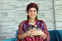 BEBEK BAKIMI - Yavru Kedilere Bebeği Gibi Bakıyor