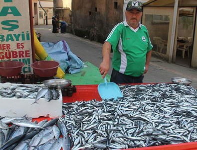 Balıkçılara erken hamsi avı uyarısı