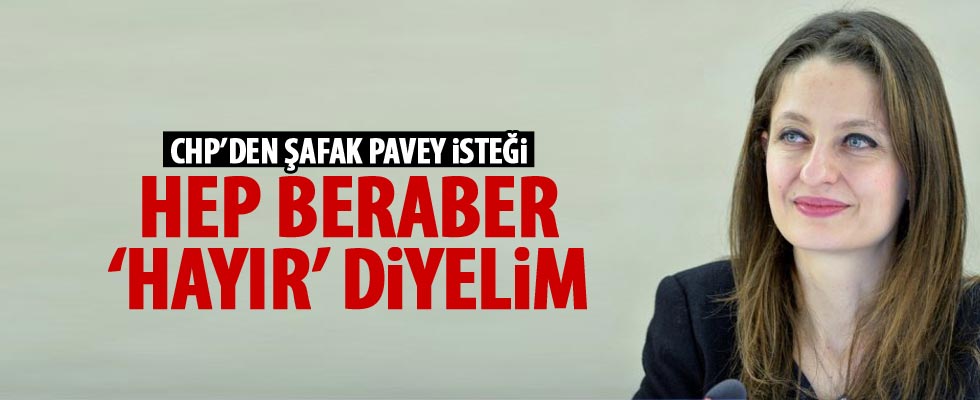 CHP'den Şafak Pavey açıklaması