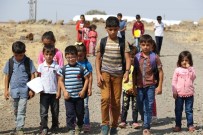 Bu Okulun Yolu Düz Gitmiyor