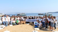DENİZ CANLILARI - Gönüllüler Deniz Ve Kıyı Temizliği Yaptı