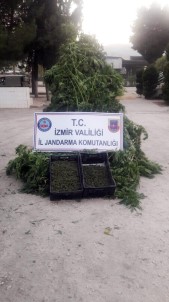 İzmir'de Uyuşturucu Operasyonu Açıklaması 3 Gözaltı