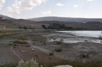 KAR SUYU - Kuraklık Çıldır Gölünü Vurdu