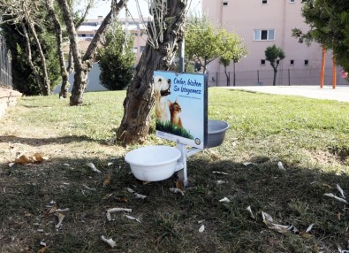 Sultanbeyli'de Sokak Hayvanları Unutulmadı