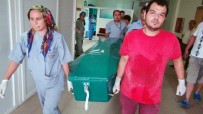 NÖBETÇİ POLİS - 5 Yaşındaki Çocuk 25 Bıçak Darbesiyle Öldürülmüş