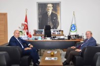 KADİR ALBAYRAK - Başkan Albayrak, AK Parti Milletvekili Akgün'ü Ağırladı