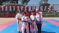 GRAM ALTIN - Biga'da Karate Turnuvası Düzenlendi