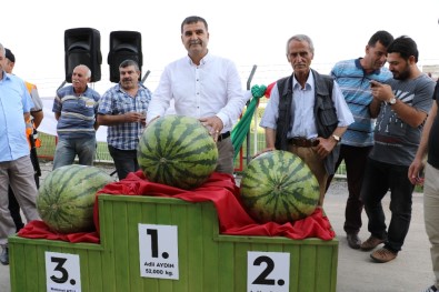 Bu Da En Ağır Karpuz Yarışması