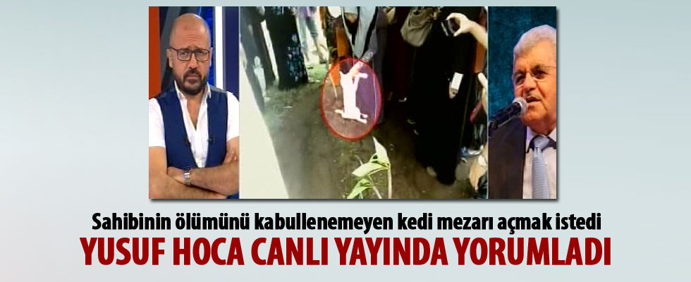 Sahibinin ölümünü kabullenemeyen kedi mezarı açmak istedi