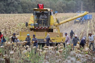 'Soğukta Yapamazsın' Dediler, Şimdi Paraya Para Demiyor