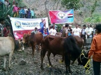 FILDIŞI SAHILI - İhlas Vakfı Kesilen Kurbanları 300 Bin Kişiye Ulaştırdı
