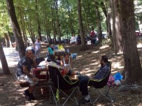 BELGRAD ORMANı - İstanbullular Bayramın İkinci Günü Piknik Alanlarına Akın Ettiler