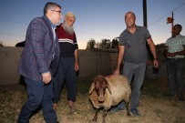 MEHMET NURİ ÇETİN - Kaymakam Çetin, Kurban Kesemeyen Vatandaşlara Kurbanlık Koyun Dağıttı