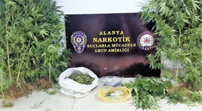 60 Yaşındaki Uyuşturucu Ticareti Şüphelisi Tutuklandı